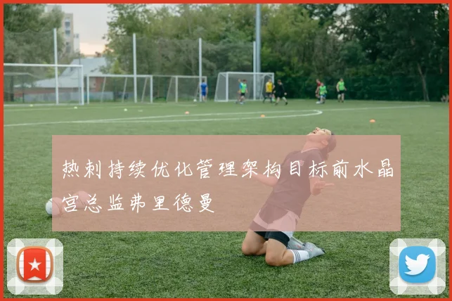 热刺持续优化管理架构目标前水晶宫总监弗里德曼