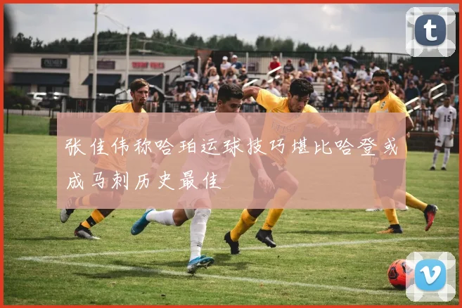 张佳伟称哈珀运球技巧堪比哈登或成马刺历史最佳