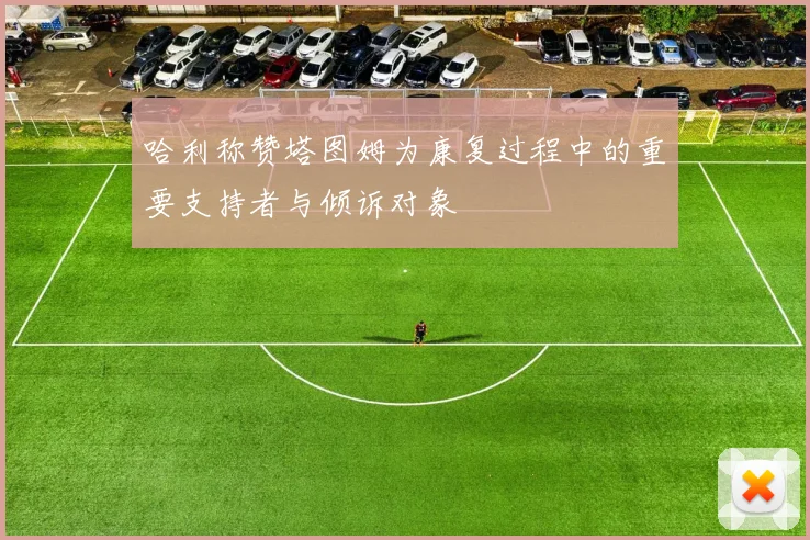 哈利称赞塔图姆为康复过程中的重要支持者与倾诉对象