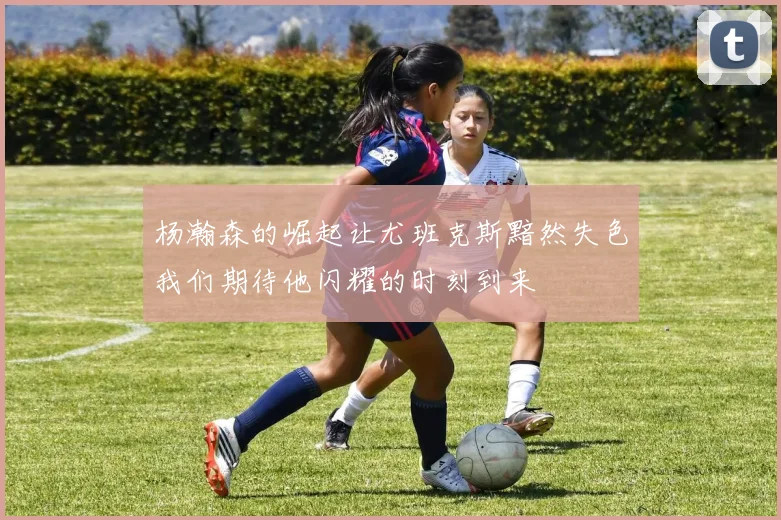 杨瀚森的崛起让尤班克斯黯然失色我们期待他闪耀的时刻到来